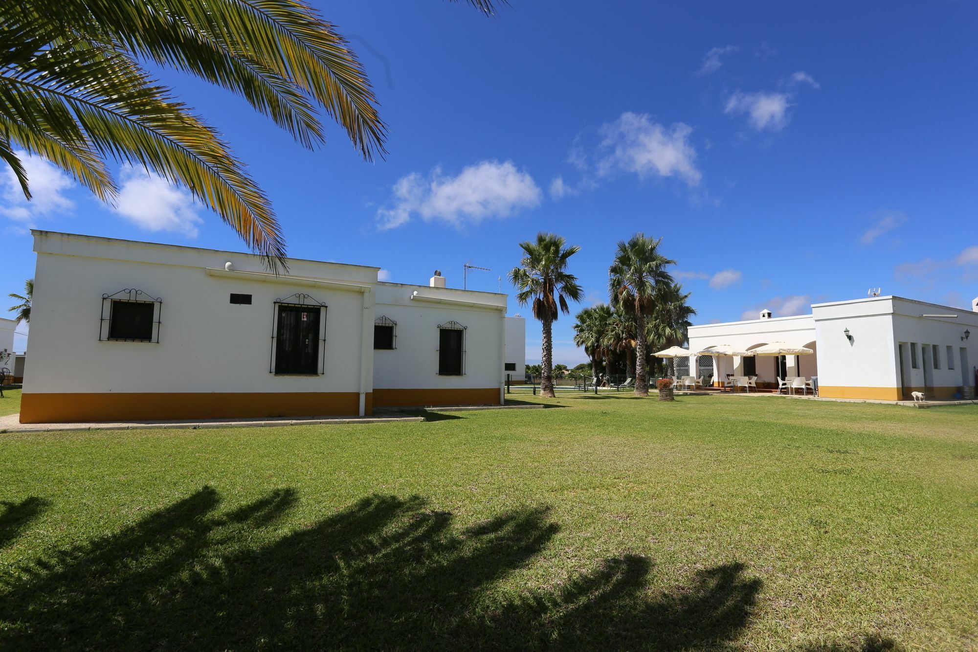 El Celemin De Conil Bed & Breakfast Conil De La Frontera Ngoại thất bức ảnh